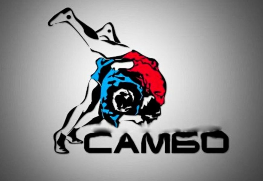 Всероссийский турнир по самбо. Всероссийский турнир по самбо.