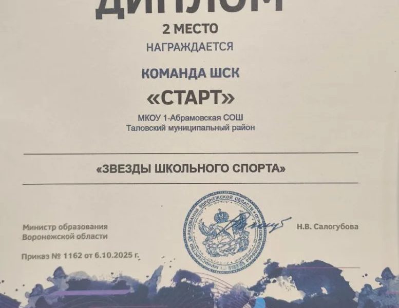 Всероссийский смотр – конкурс на лучшую постановку физкультурной работы среди школьных спортивных клубов в 2024/2025 учебном году