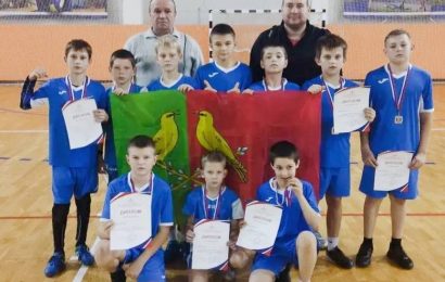 Первенство Воронежской области по мини-лапте. Первенство Воронежской области по мини-лапте.